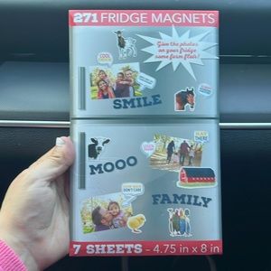 Magnets , 271 fridge magnets